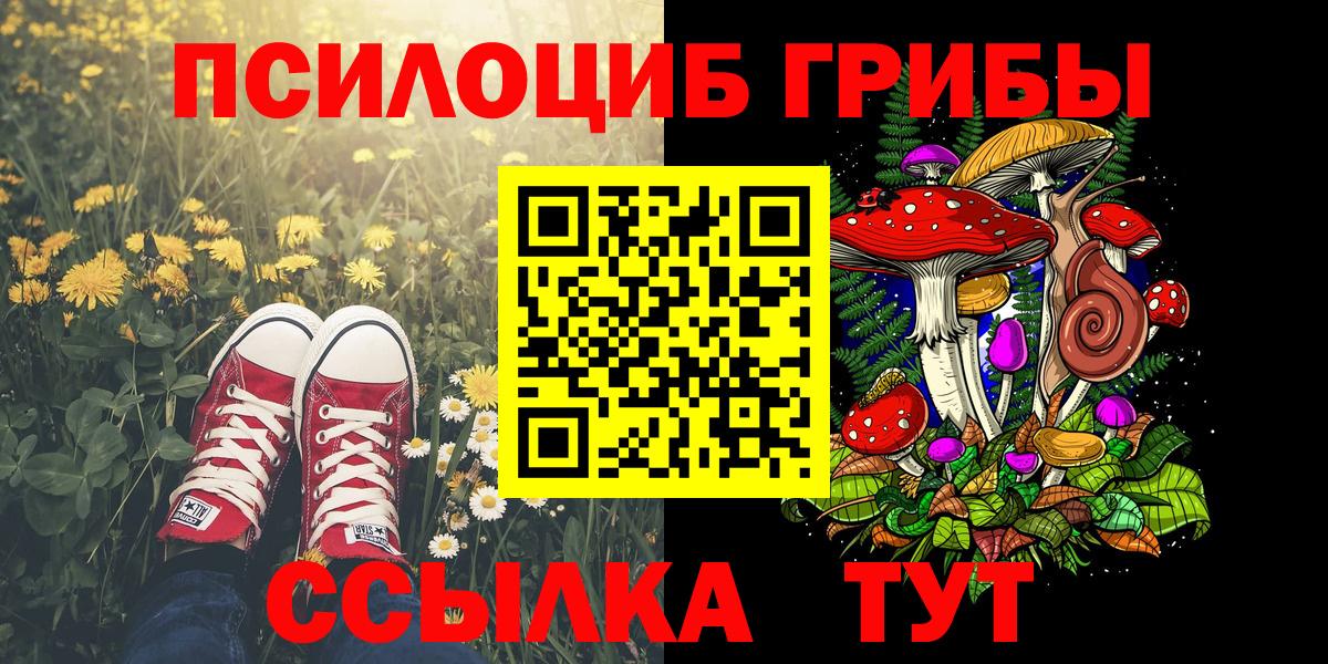 Псилоцибиновые грибы GOLDEN TEACHER Сарапул